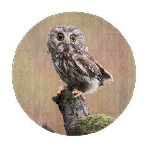 Cutest Baby Animals   Northern Saw Whet Owl Cutting Board