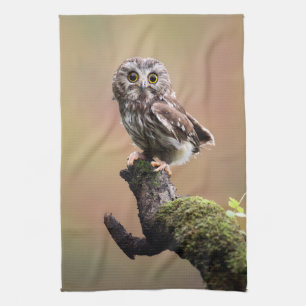 Cutest Baby Animals Northern Saw Whet Owl Tea Towel