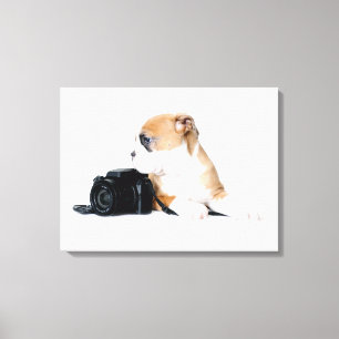 Cutest Baby Animals   Old Tyme British Bulldog Canvas Print