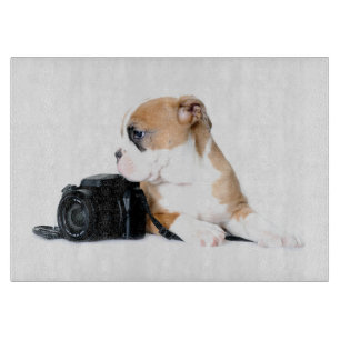 Cutest Baby Animals   Old Tyme British Bulldog Cutting Board