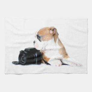 Cutest Baby Animals   Old Tyme British Bulldog Tea Towel