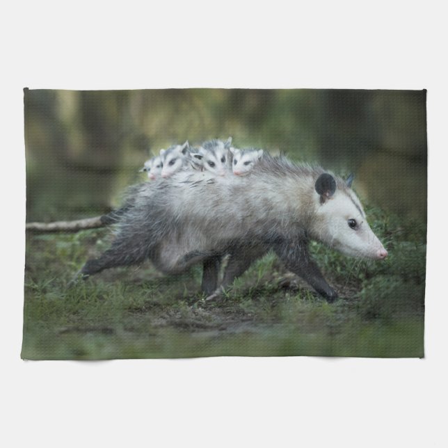Cutest Baby Animals | Opossum Mom & Kids Tea Towel (Horizontal)