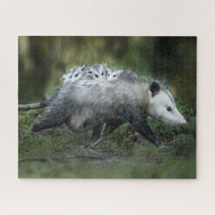 Cutest Baby Animals   Opossum Mum & Kids Jigsaw Puzzle