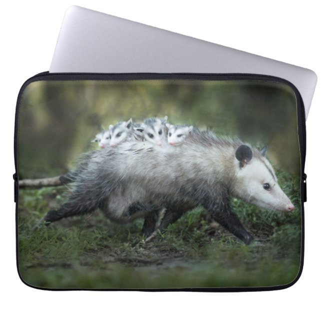 Cutest Baby Animals | Opossum Mum & Kids Laptop Sleeve (Front)