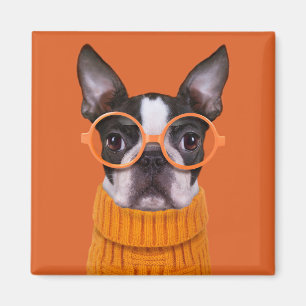 Cutest Baby Animals   Orange Boston Terrier Magnet