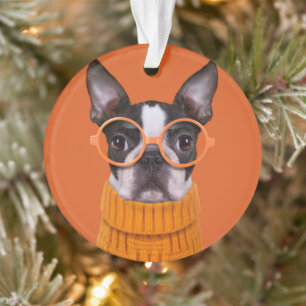 Cutest Baby Animals   Orange Boston Terrier Ornament