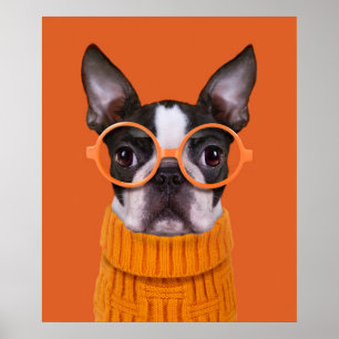 Cutest Baby Animals Orange Boston Terrier Poster
