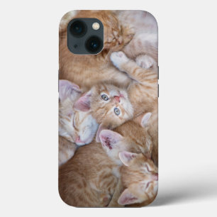 Cutest Baby Animals Orange Kitten Pile iPhone 13 Case