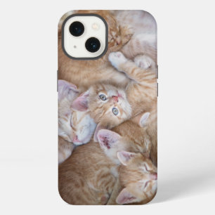 Cutest Baby Animals Orange Kitten Pile iPhone 13 Case