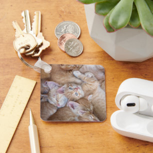 Cutest Baby Animals   Orange Kitten Pile Key Ring