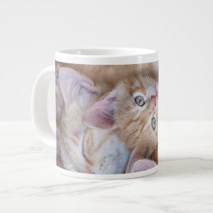 Cutest Baby Animals Orange Kitten Pile Large Coffee Mug