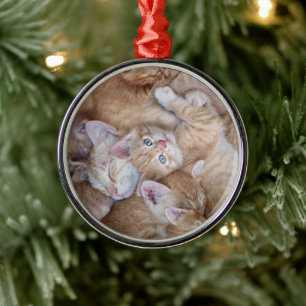 Cutest Baby Animals Orange Kitten Pile Metal Tree Decoration
