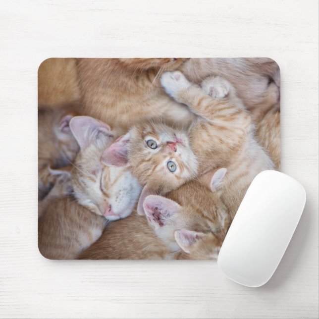 Cutest Baby Animals | Orange Kitten Pile Mouse Pad (With Mouse)