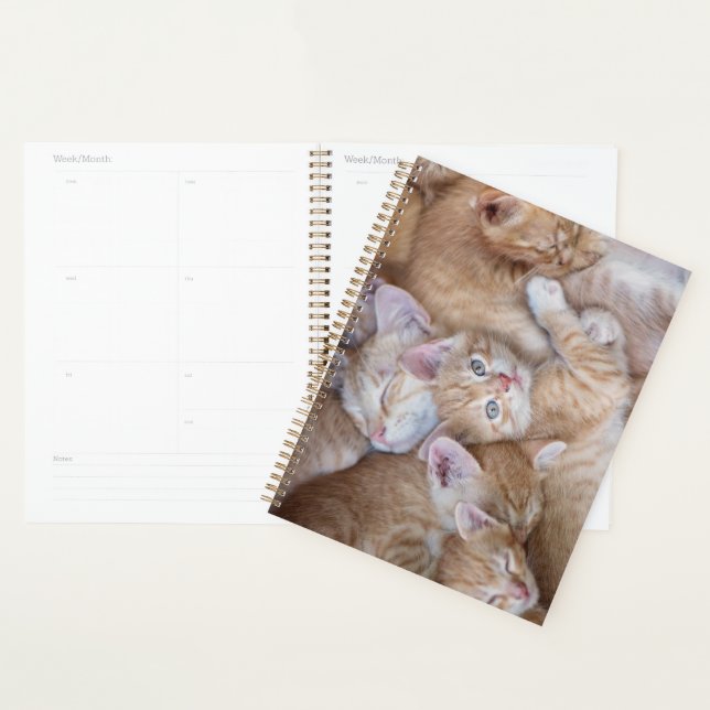 Cutest Baby Animals | Orange Kitten Pile Planner (Display)