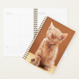 Cutest Baby Animals   Orange Tabby Kitten Planner