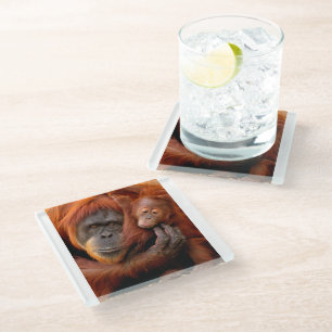 Cutest Baby Animals   Orangutan Mom & Baby Glass Coaster