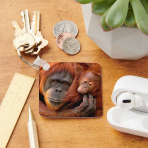Cutest Baby Animals   Orangutan Mum & Baby Key Ring