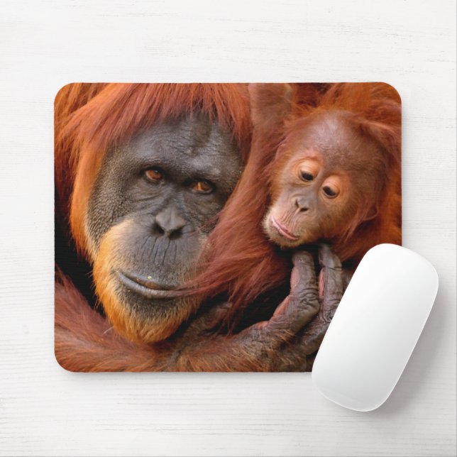 Cutest Baby Animals | Orangutan Mum & Baby Mouse Pad (With Mouse)