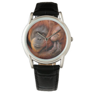 Cutest Baby Animals   Orangutan Mum & Baby Watch