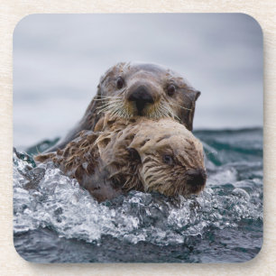 Cutest Baby Animals Otter Baby & Mother Coaster