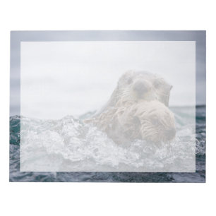 Cutest Baby Animals Otter Baby & Mother Notepad