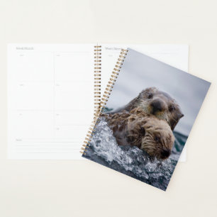 Cutest Baby Animals Otter Baby & Mother Planner