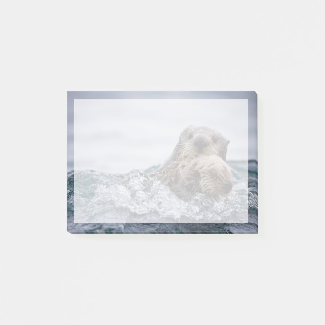 Cutest Baby Animals | Otter Baby & Mother Post-it Notes (Front)