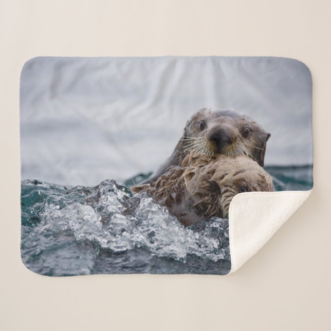 Cutest Baby Animals | Otter Baby & Mother Sherpa Blanket (Front (Horizontal))
