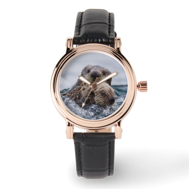 Cutest Baby Animals | Otter Baby & Mother Watch (Front)