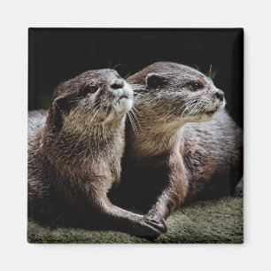 Cutest Baby Animals Otters Holding Hands Magnet