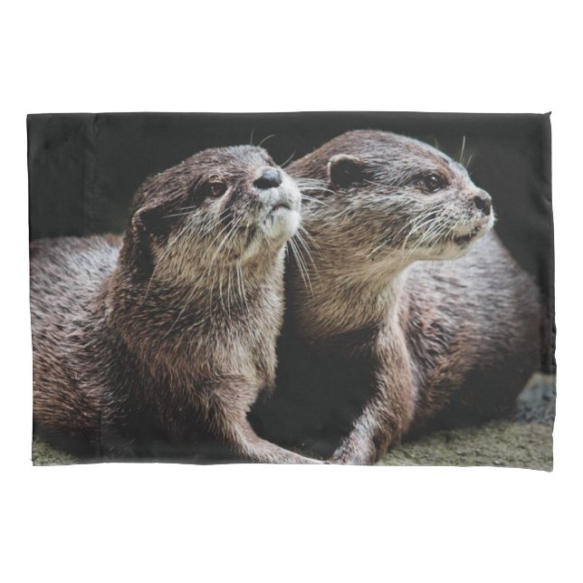 Cutest Baby Animals | Otters Holding Hands Pillowcase (Front)