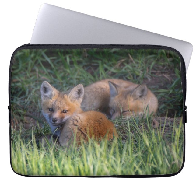 Cutest Baby Animals | Pair of Red Fox Kit Siblings Laptop Sleeve (Front)