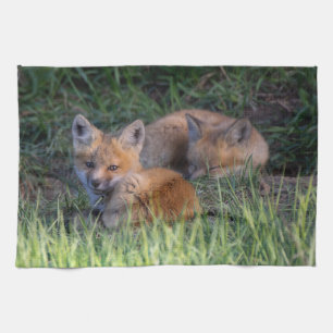 Cutest Baby Animals Pair of Red Fox Kit Siblings Tea Towel