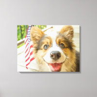 Cutest Baby Animals | Patriotic Corgi Puppy