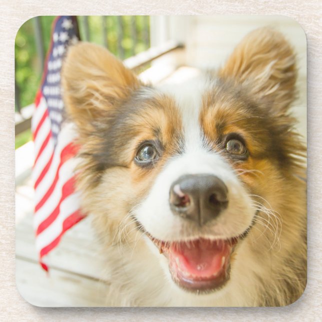 Cutest Baby Animals | Patriotic Corgi Puppy Coaster (Front)
