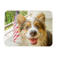 Cutest Baby Animals | Patriotic Corgi Puppy