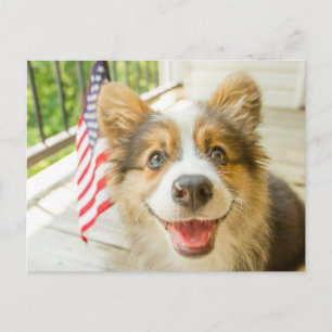Cutest Baby Animals   Patriotic Corgi Puppy Postcard