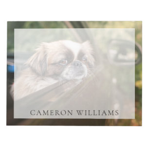 Cutest Baby Animals   Pekingese Puppy in Car Notepad