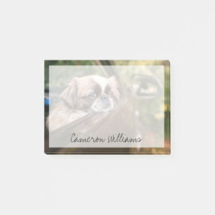 Cutest Baby Animals   Pekingese Puppy in Car Post-it Notes