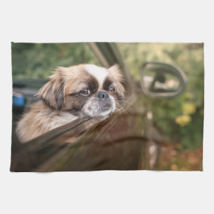 Cutest Baby Animals   Pekingese Puppy in Car Tea Towel