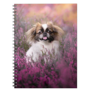 Cutest Baby Animals Pekingese Puppy Notebook