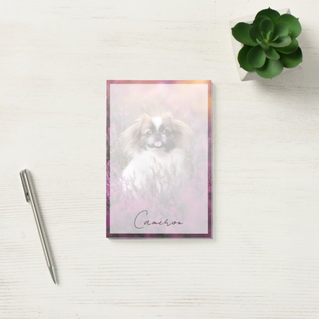 Cutest Baby Animals | Pekingese Puppy Post-it Notes (Office)