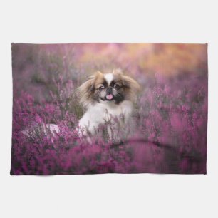 Cutest Baby Animals   Pekingese Puppy Tea Towel