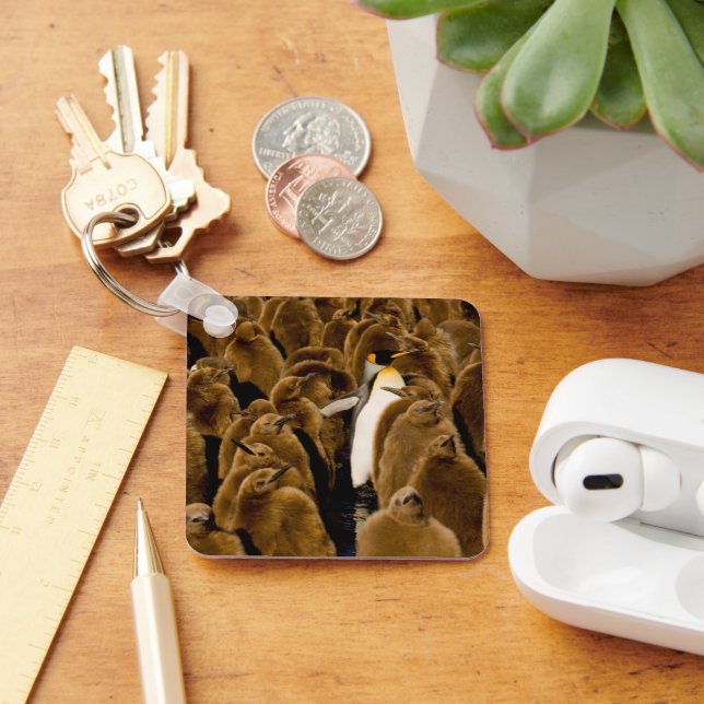 Cutest Baby Animals | Penguin Among Youngsters Key Ring (Desk)