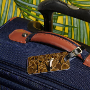 Cutest Baby Animals   Penguin Among Youngsters Luggage Tag
