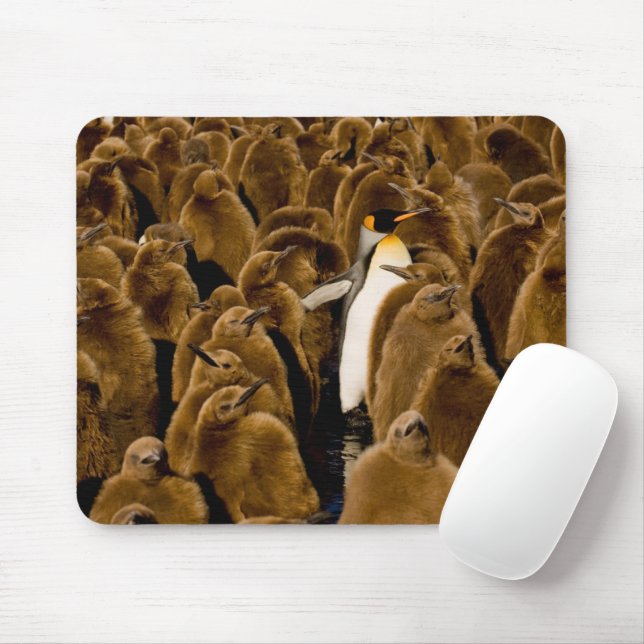 Cutest Baby Animals | Penguin Among Youngsters Mouse Pad (With Mouse)