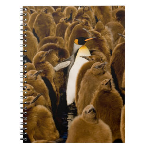 Cutest Baby Animals   Penguin Among Youngsters Notebook