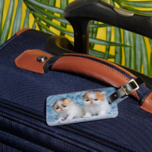 Cutest Baby Animals   Persian Calico Kitten Luggage Tag