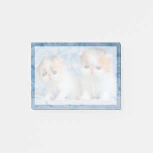 Cutest Baby Animals Persian Calico Kitten Post-it Notes
