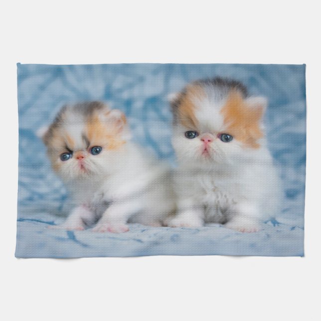 Cutest Baby Animals | Persian Calico Kitten Tea Towel (Horizontal)